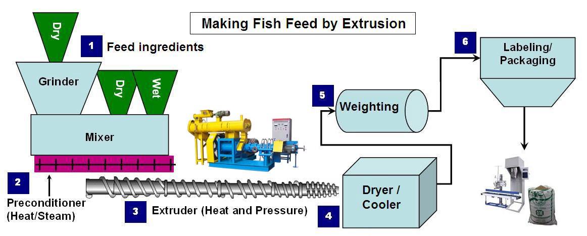 Fish Feed Extrusion
