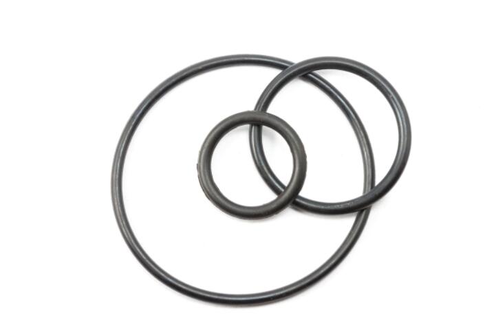 PTFE Encapsulated O-Rings